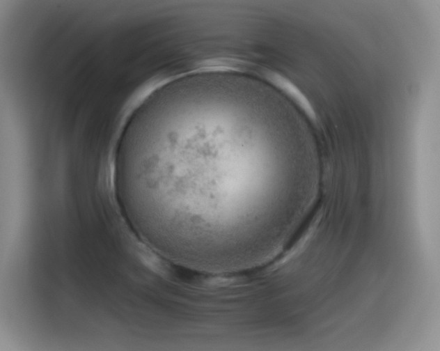 X0000114601419200910191609