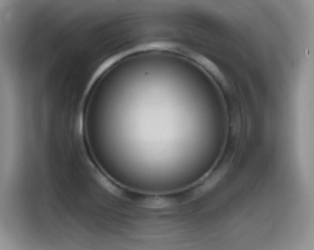 X0000114601420200910191609