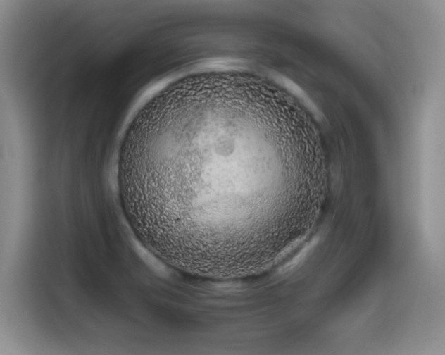 X0000114601421200910191609