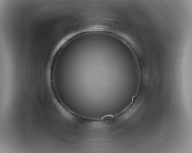 X0000114601422200910191609