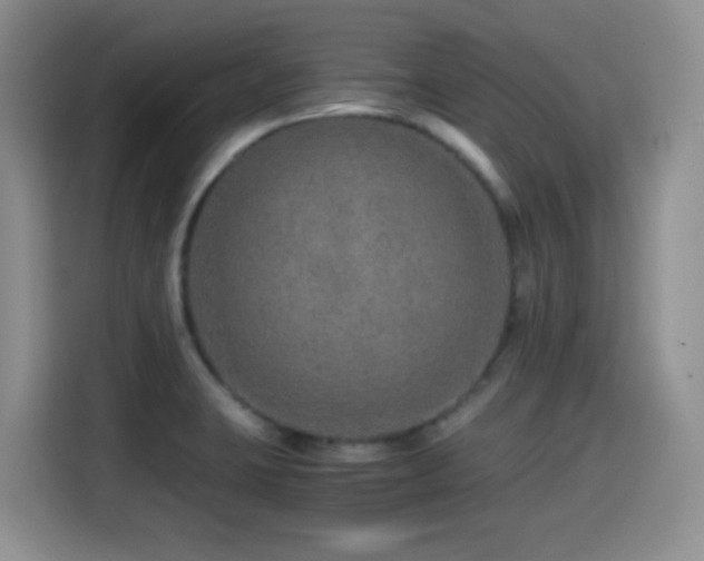 X0000114601423200910191609