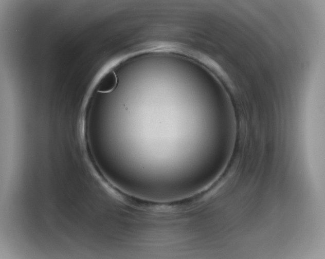 X0000114601424200910191609