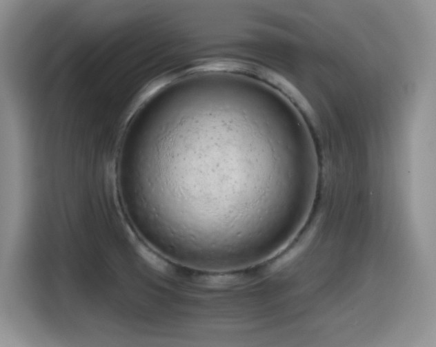 X0000114601425200910191609