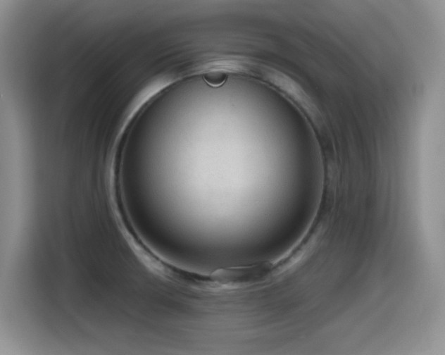 X0000114601426200910191609