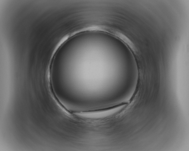 X0000114601428200910191609