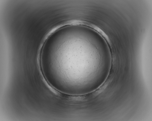 X0000114601429200910191609