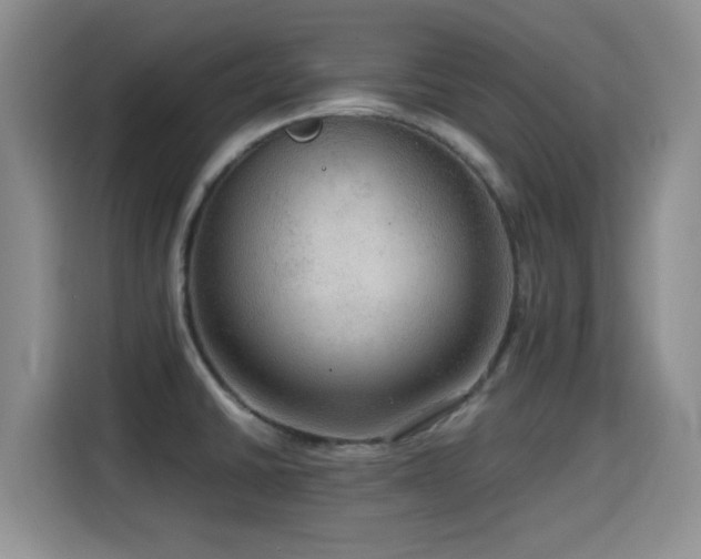 X0000114601430200910191609