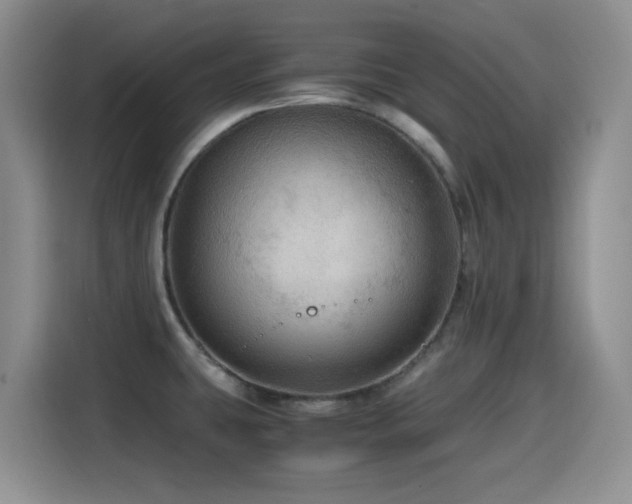 X0000114601431200910191609