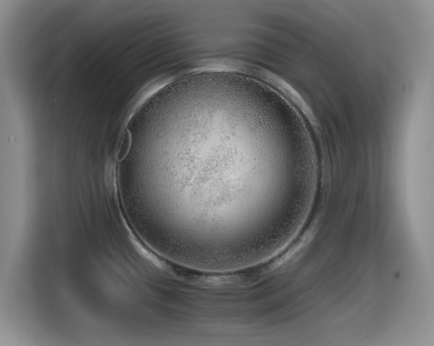 X0000114601433200910191609