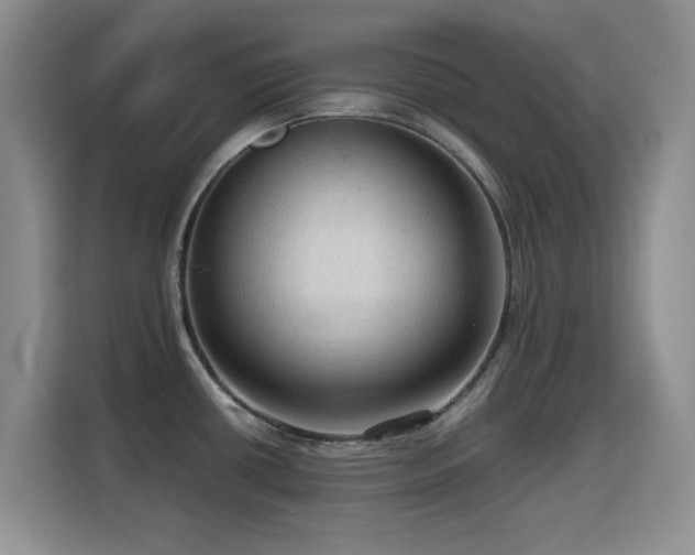 X0000114601434200910191609