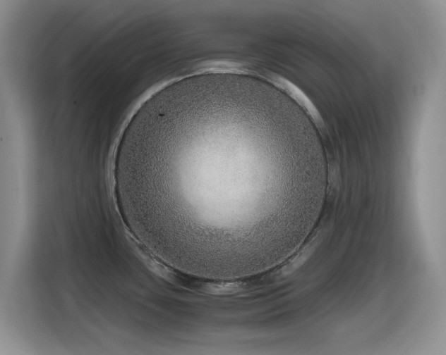 X0000114601435200910191609