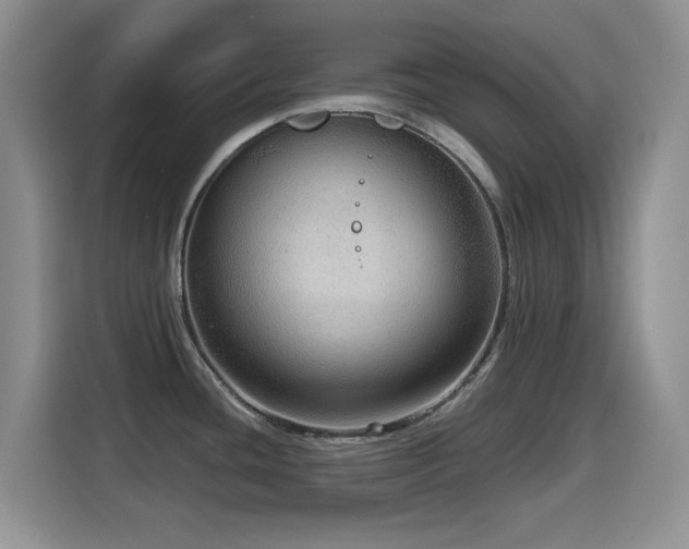 X0000114601436200910191609