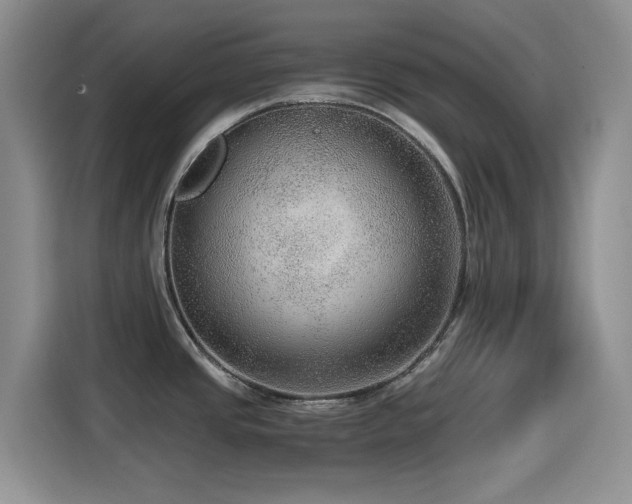 X0000114601437200910191609