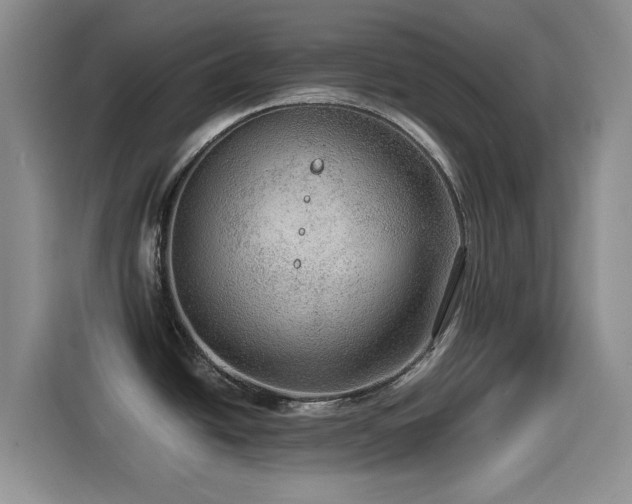 X0000114601438200910191609