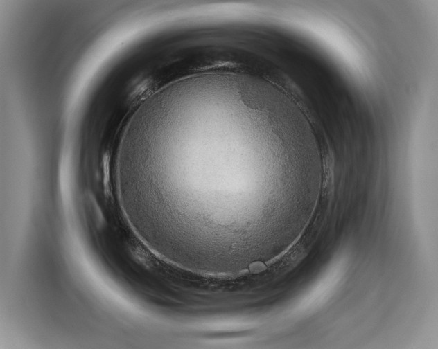 X0000114601439200910191609