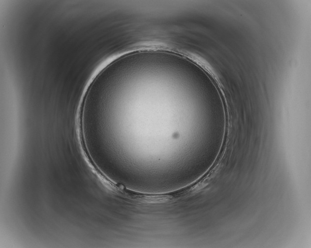 X0000114601440200910191609