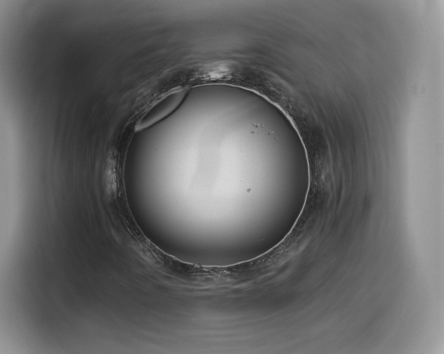 X0000114601442200910191608