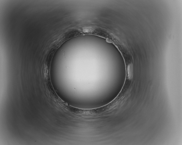 X0000114601443200910191608