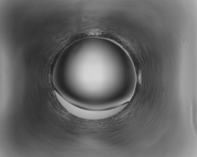 X0000114601444200910191608