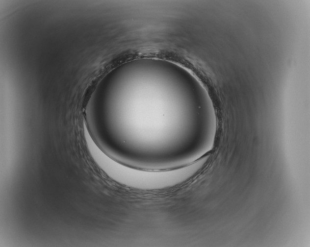 X0000114601445200910191608