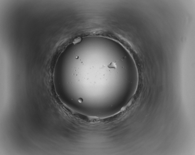 X0000114601447200910191608