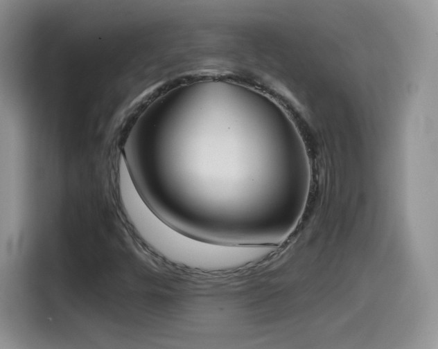 X0000114601448200910191608