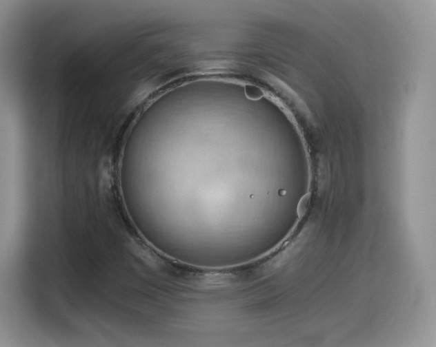 X0000114601449200910191608