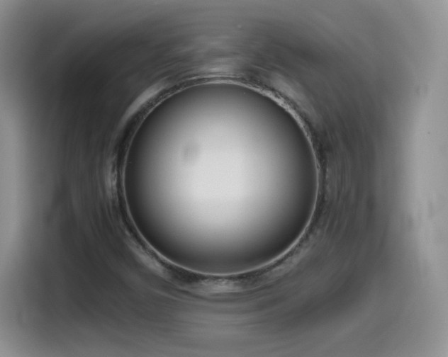 X0000114601450200910191608