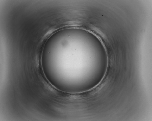 X0000114601451200910191608