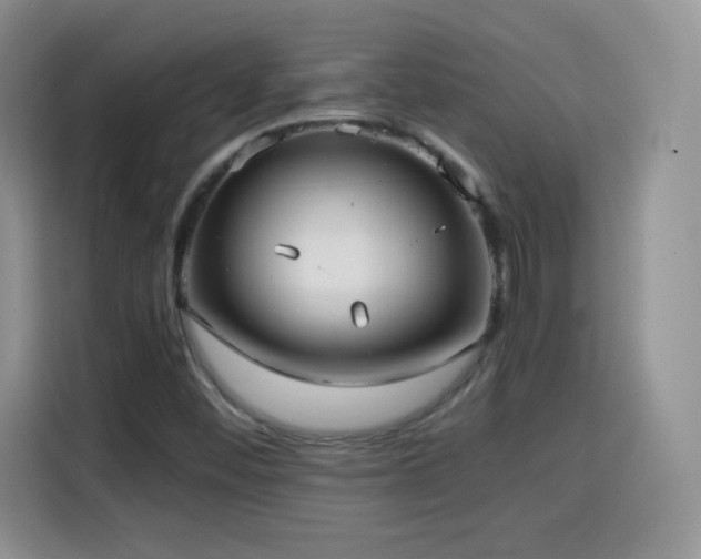 X0000114601452200910191608