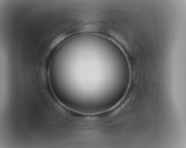 X0000114601453200910191608