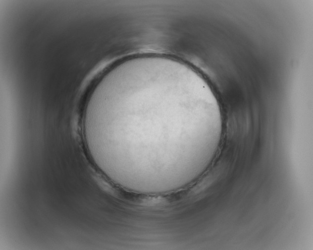 X0000114601454200910191608