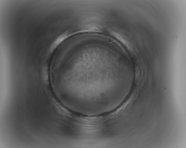 X0000114601455200910191608