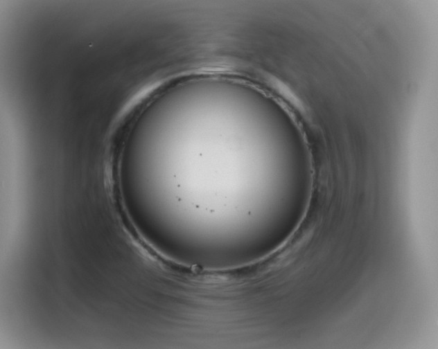 X0000114601456200910191608