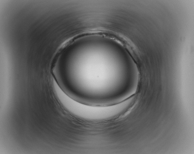 X0000114601457200910191608