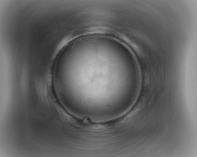 X0000114601459200910191608