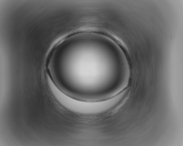 X0000114601461200910191608