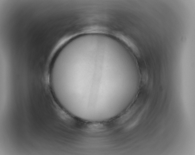 X0000114601462200910191608