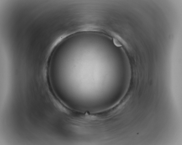 X0000114601463200910191608