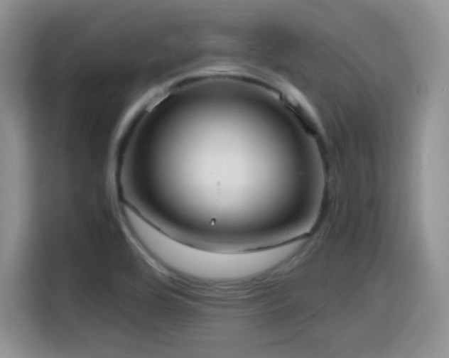 X0000114601464200910191608