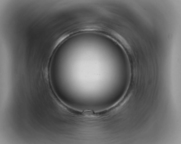 X0000114601465200910191608