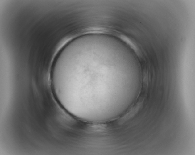 X0000114601466200910191608