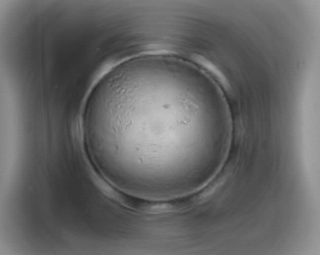 X0000114601467200910191608