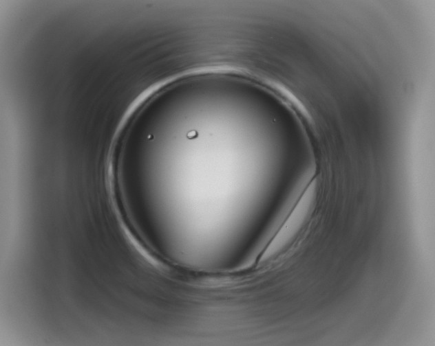 X0000114601468200910191608