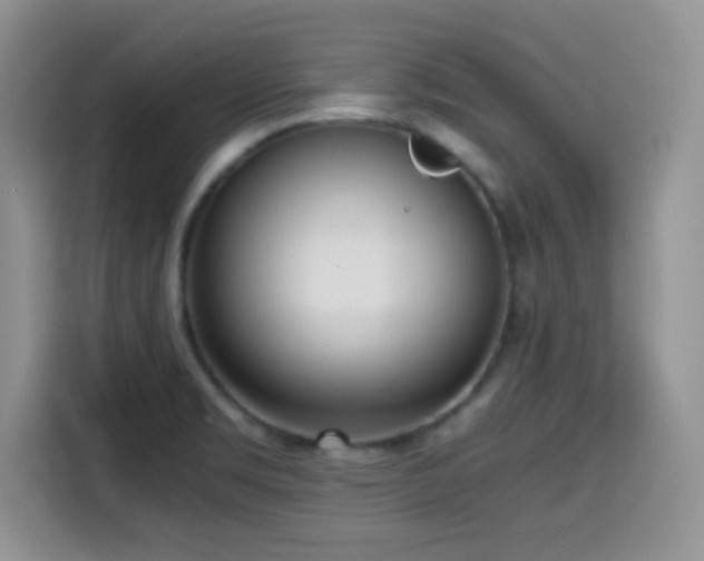 X0000114601469200910191608