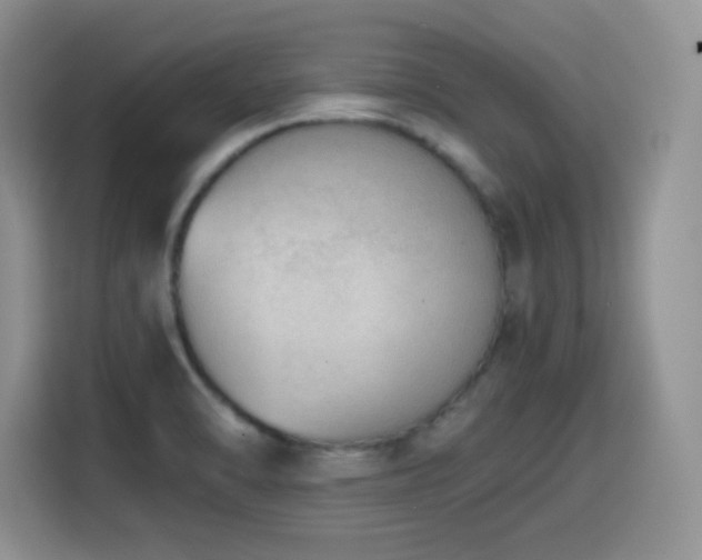 X0000114601470200910191608