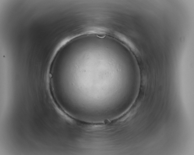 X0000114601471200910191608