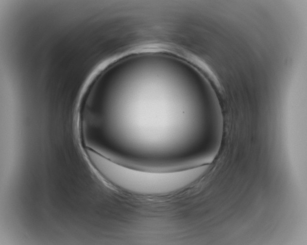 X0000114601472200910191608