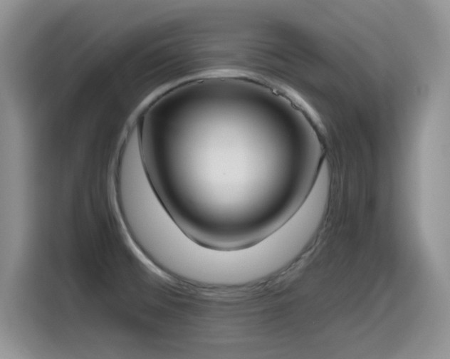 X0000114601476200910191608