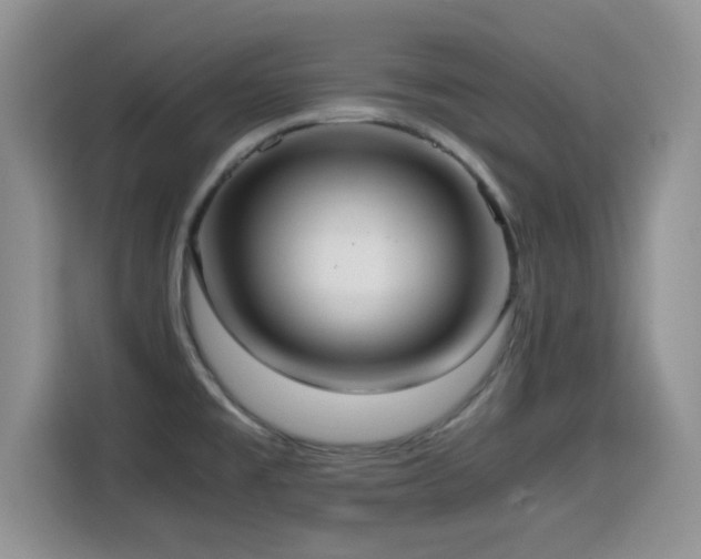 X0000114601477200910191608